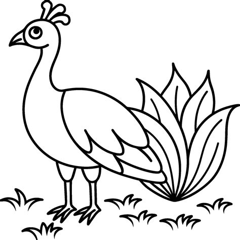 Peacock Bird Coloring Pages 43567720 Vector Art At Vecteezy