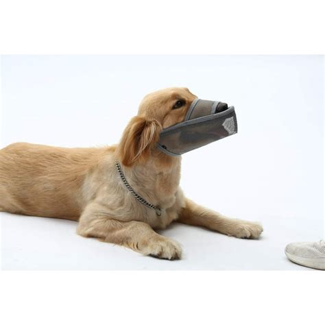 Long Snout Dog Muzzles- Adjustable Breathable Mesh Muzzle for Biting Chewing Barking Training ...