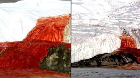 Mystery Of ‘bleeding Waterfalls In Antarctica Finally Solved After Decades