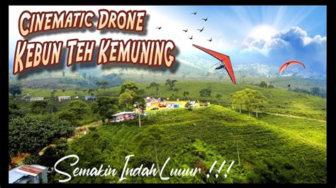 Cinematic Drone Kebun Teh Kemuning My Best Videos Youtube