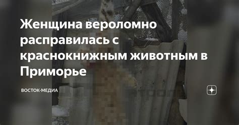 Женщина вероломно расправилась с краснокнижным животным в Приморье