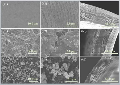 SEM Of Surface And Cross Section A1 A2 A3 PP B1 B2 B3 OTS PP