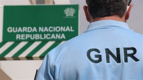 Gnr Desmantela Rede De Droga E Detém Quatro Suspeitos De Tráfico Em