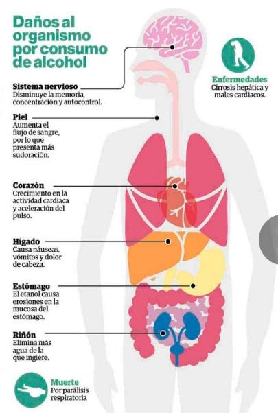 Alcoholismo Todos Estos Son Los Daños Que Causa El Consumo De Alcohol