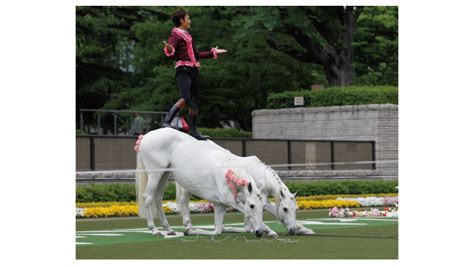 第3回中京競馬開催イベント（2023年）