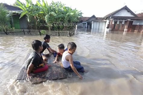 Tanggul Sungai Jebol Ratusan Rumah Di Mojosari Mojokerto Terendam