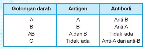 Pengertian Macam Macam Jenis Golongan Darah Serta Cara Menentukan