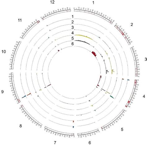 The Genome Wide Distribution Of Filtered Variants And Highly Affected