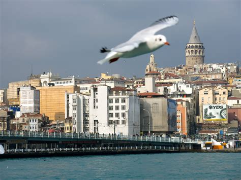 University of Ghent issues travel ban to Turkey | The Bulletin