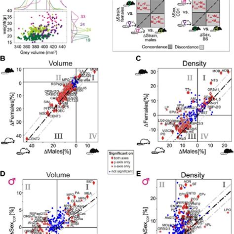 Sexual And Cross Strain Dimorphism In C57bl 6j B6 And Fvb Cd1 Cd1 Download Scientific