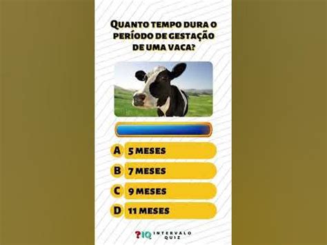 Quantos Meses Dura A Gestação De Uma Vaca - Quanto tempo dura o período de gestação de uma vaca? - YouTube
