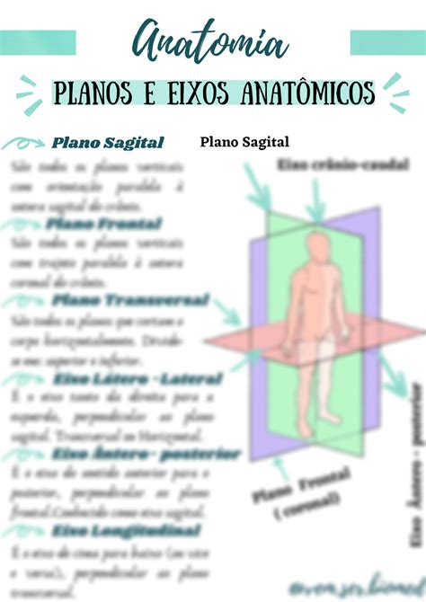 SOLUTION Anatomia Planos E Eixos Anat Micos Vem Ser Biomed Studypool