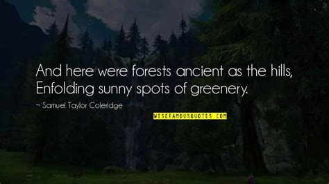 Greenery Quotes: top 11 famous quotes about Greenery