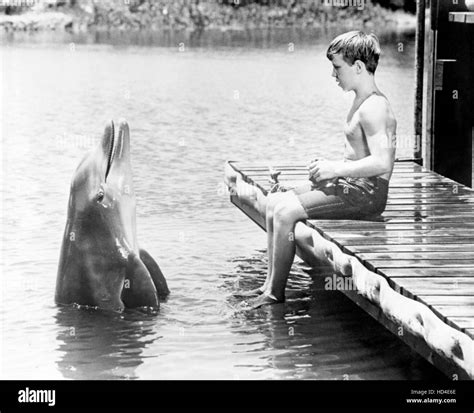 FLIPPER, (from left): Flipper, Tommy Norden, 1964-68 Stock Photo - Alamy