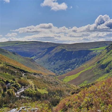 Wales Biodiversity Partnership - Powys