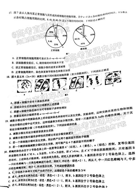 2023重庆巴蜀中学高三高考适应性月考（二）生物试题及参考答案 高考直通车