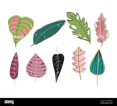 Doodle Contemporary Set Of Different Leaves Foliage Nature Vector