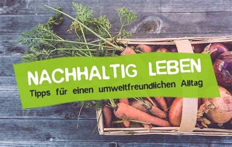 Nachhaltig leben 50 Tipps für einen grünen Alltag CareElite