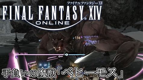 【ff14】新生エリアのレアfate 伝説の魔獣「ベヒーモス」 手負いの魔獣「ベヒーモス」 Youtube