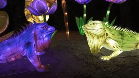 Boston Lights Illuminates Franklin Park Zoo For an Immersive Family ...