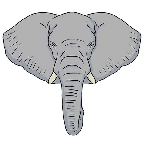 Update 193 Elephant Drawing Photos Super Hot Nanoginkgobiloba Vn