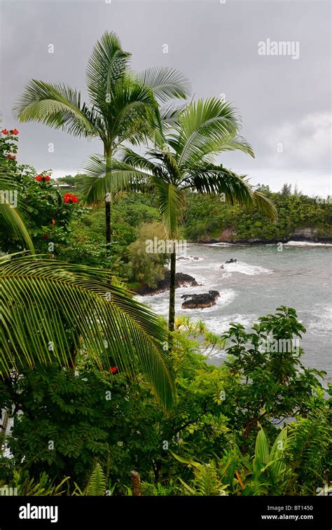 Onomea Bay Near Hawaii Tropical Botanical Garden In Hilo Big Island