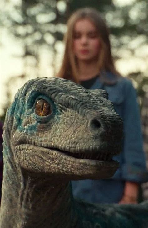 Jurassic World Raptors Blue Jurassic World Jurassic World Fallen Kingdom Jurassic World