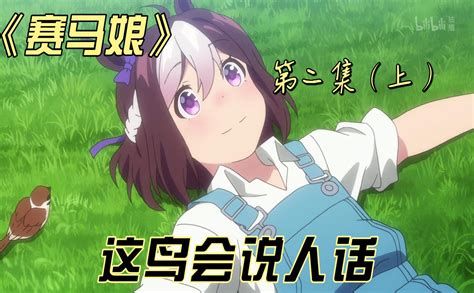 赛马娘02 解说 番剧 全集 高清独家在线观看 Bilibili 哔哩哔哩