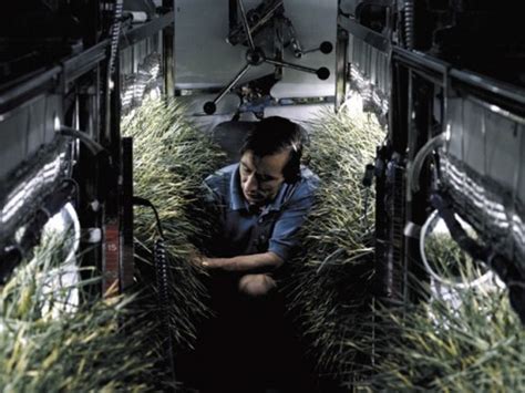 Q&A: Can Plants Grow in Space? – Yale Scientific Magazine