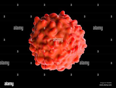 Cancer cell, illustration Stock Photo - Alamy