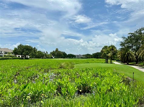 quail west golf and country club 5