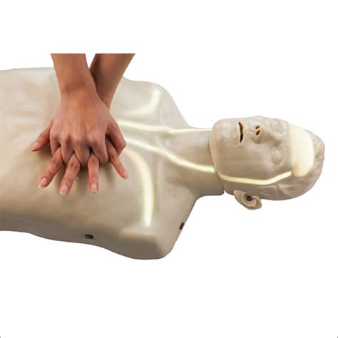 Quick And Smart Cpr Manikin Use Commercial At Best Price In Shenzhen