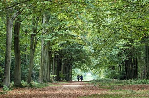 Felbrigg Hall, Gardens & Estate | Experience Norfolk