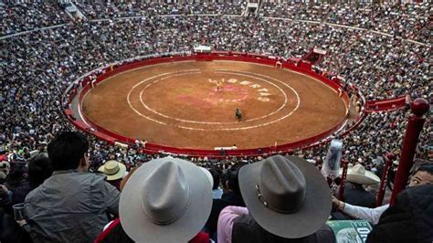 Congreso de capital de México prohíbe corridas de toros con violencia Noticias Prensa Latina