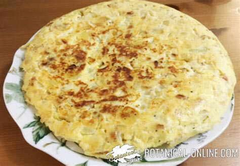 Spanish omelette characteristics and properties – Botanical online