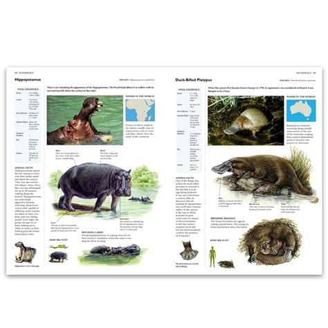 Animals And Their Habitats World Book