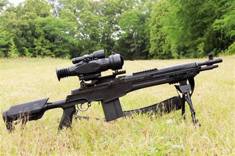 The M1a Night Vision And A Hog Hunt The Armory Life