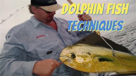 Mastering Mahi Mahi Fishing Top Tips And Techniques For Success Youtube