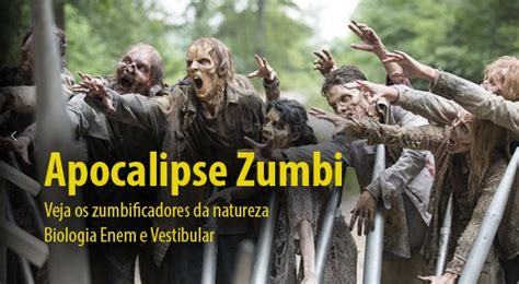 Apocalipse Zumbi A Biologia Explica Como Poss Vel