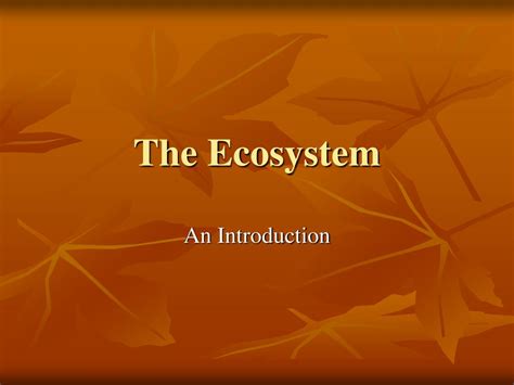 Ppt The Ecosystem Powerpoint Presentation Free Download Id 2257834