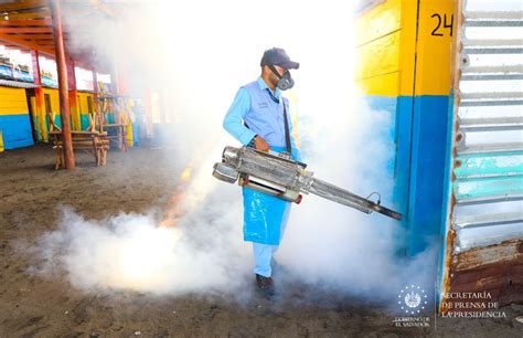 Realizan una jornada de fumigación en playa El Majahual El