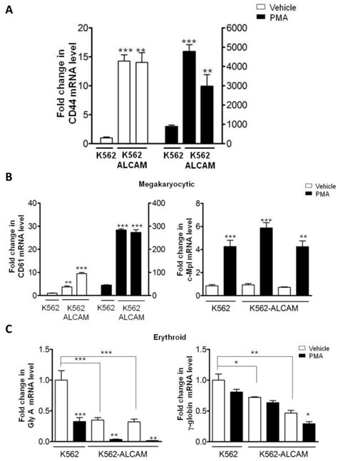 Profile Of Pma Induced Gene Expression In K562 Cells Is Altered By Download Scientific Diagram