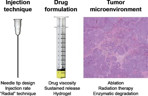 Influence Of Injection Technique Drug Formulation And Tumor