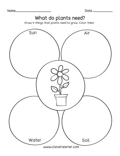 Plant Needs Cleverlearner Preschool Resources Worksheets Library