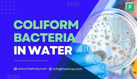 Coliform Bacteria In Well Water (What You Need To Know) – Freshnss