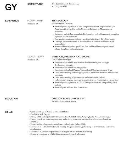 Platform Developer Resume Samples Velvet Jobs