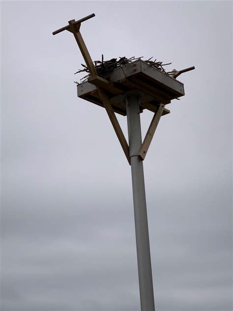 Osprey Nest Poles | poletech