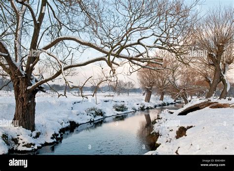 Winter scene, Richmond Park, Surrey, England Stock Photo - Alamy