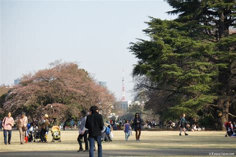 Shinjuku Gyoen - The National Imperial Garden in Tokyo