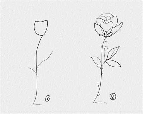 The Best Minimalist Aesthetic Flower Drawing Ideas Flower Artists Will Love